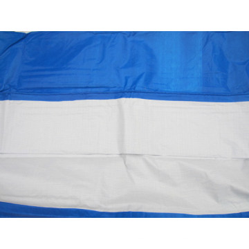 Africa Blue PE Tarpaulin/PE Tarp/Poly Tarp for Truck Cover, Tents